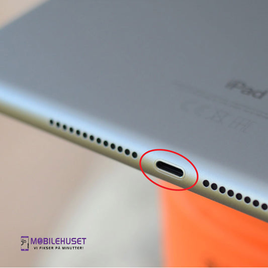 iPad 9.7 (6. generasjon) Reparere & Erstatte Ladeport