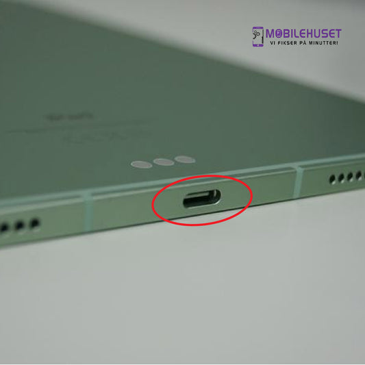 iPad Air 10.9 (4th generation) Ladeport Reparasjon & Utskifting