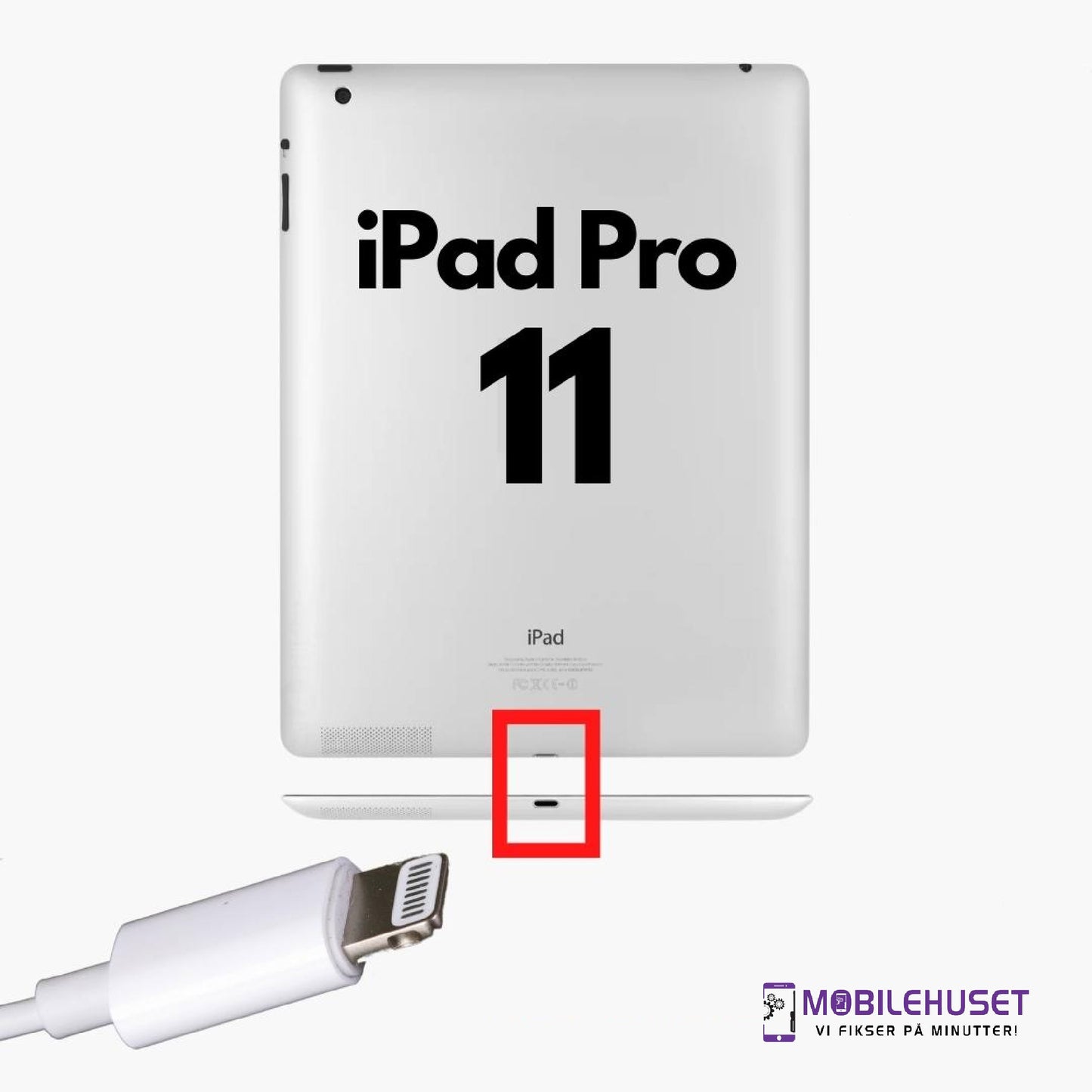 iPad Pro 11-inch (1. generasjon, 2018) Ladingport Reparasjon & Utskifting