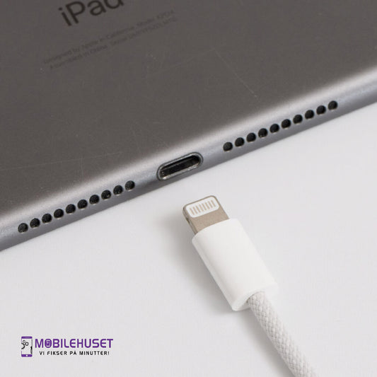iPad Pro 12.9-inch (1. generasjon, 2015) Ladingport Reparasjon & Utskifting