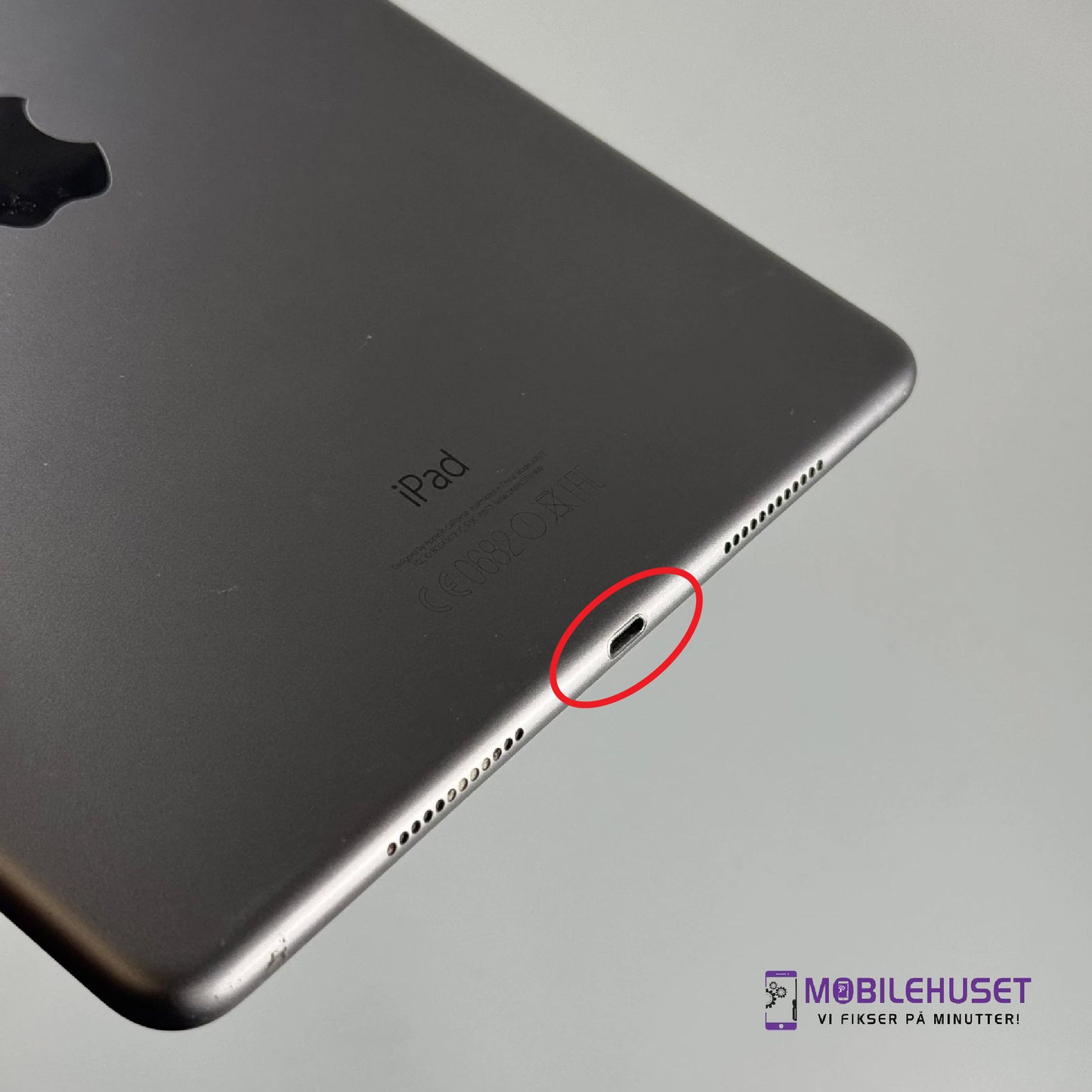 iPad Air 9.7-inch (1. generasjon, 2013) Ladingport Reparasjon & Utskifting