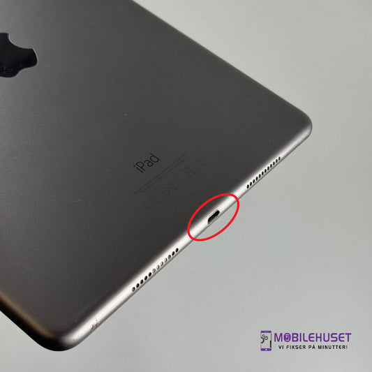 iPad Air 9.7-inch (1. generasjon, 2013) Ladingport Reparasjon & Utskifting