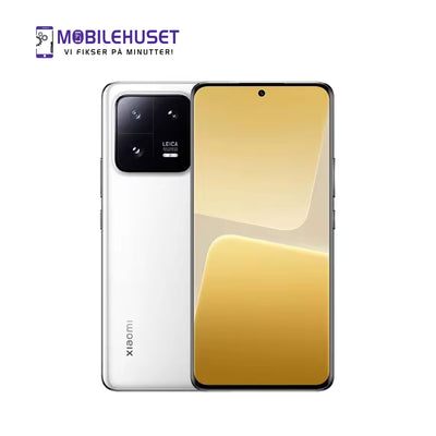 Xiaomi 13 Pro (2210132C)