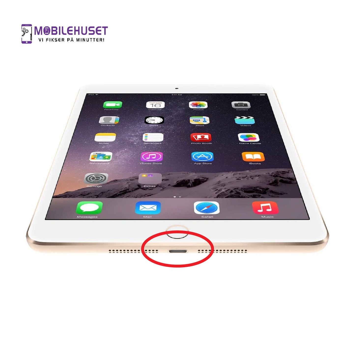 iPad Mini 7.9-inch (3rd Gen 2014) Ladeport Reparasjon