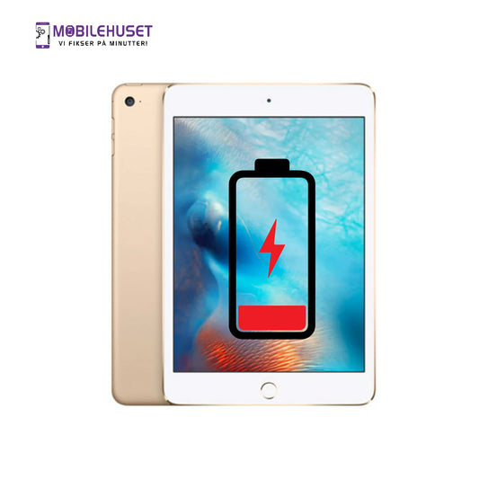 iPad Mini 7.9-inch (4. generasjon, 2015) Batteri Reparasjon & Utskifting