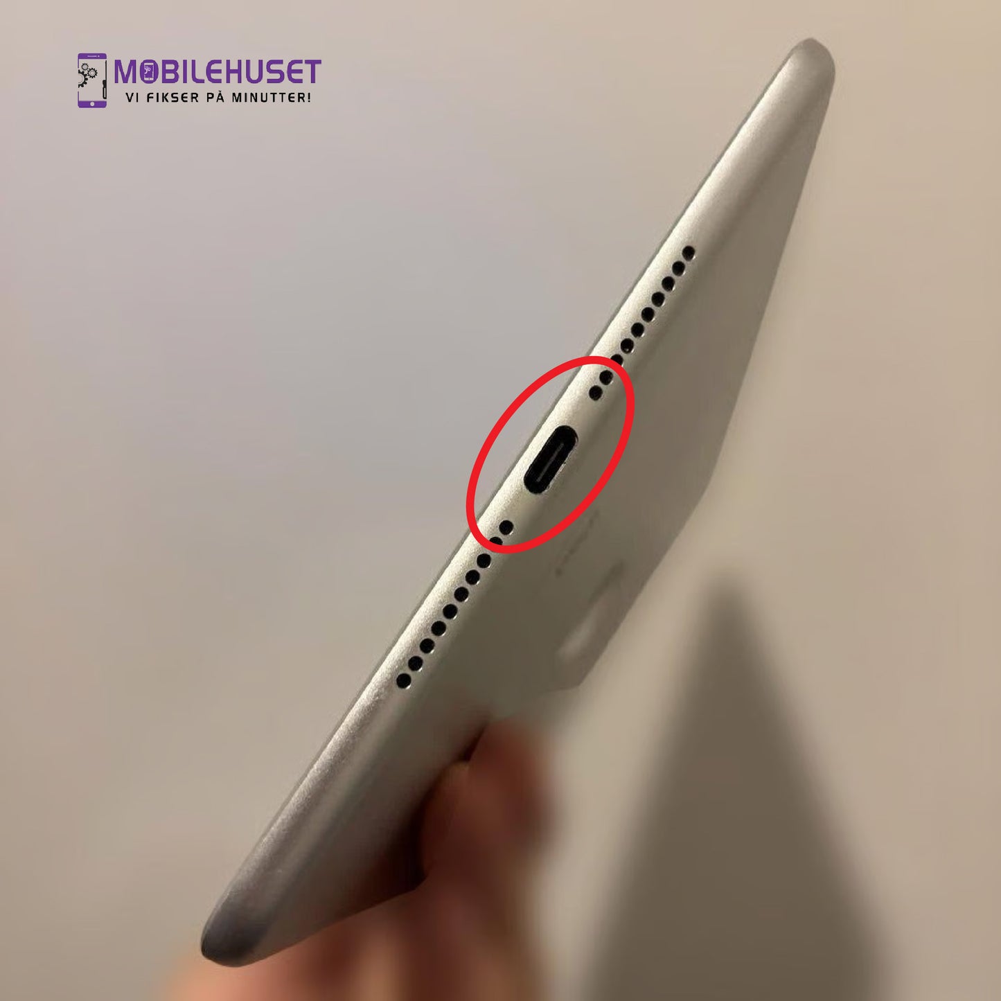 iPad Mini 7.9-inch (4. generasjon, 2015) Ladingport Reparasjon & Utskifting