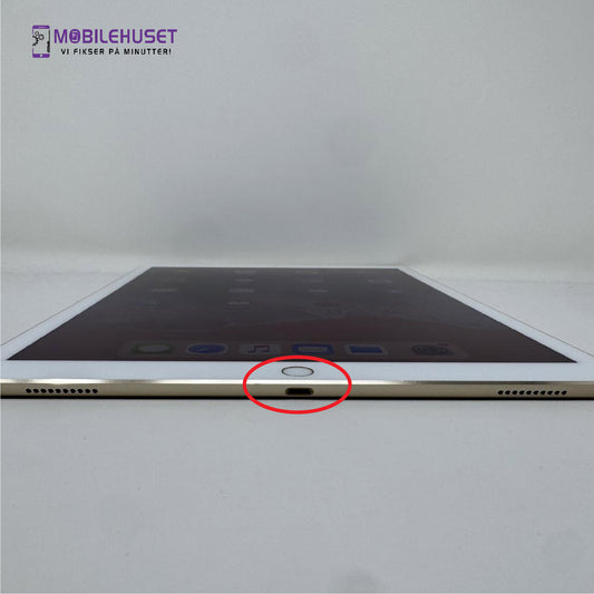 iPad Pro 12.9-inch (2. generasjon, 2017) Ladingport Reparasjon & Utskifting