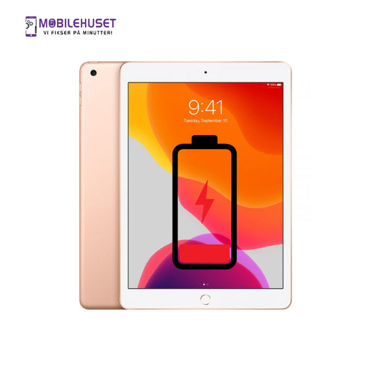 iPad Air 9.7-inch (1. generasjon, 2013) Batteri Reparasjon & Utskifting